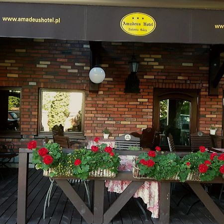 Amadeus Hotel Zielona Gora Εξωτερικό φωτογραφία